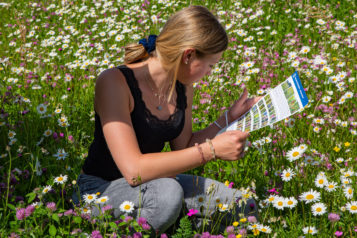 Genutzt wird die Blumenwiese auch für Bildungszwecke.