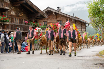 Die Almabtriebe in der Region Hohe Salve stehen in enger Verbindung zwischen Mensch, Tier und Bergwelt. 